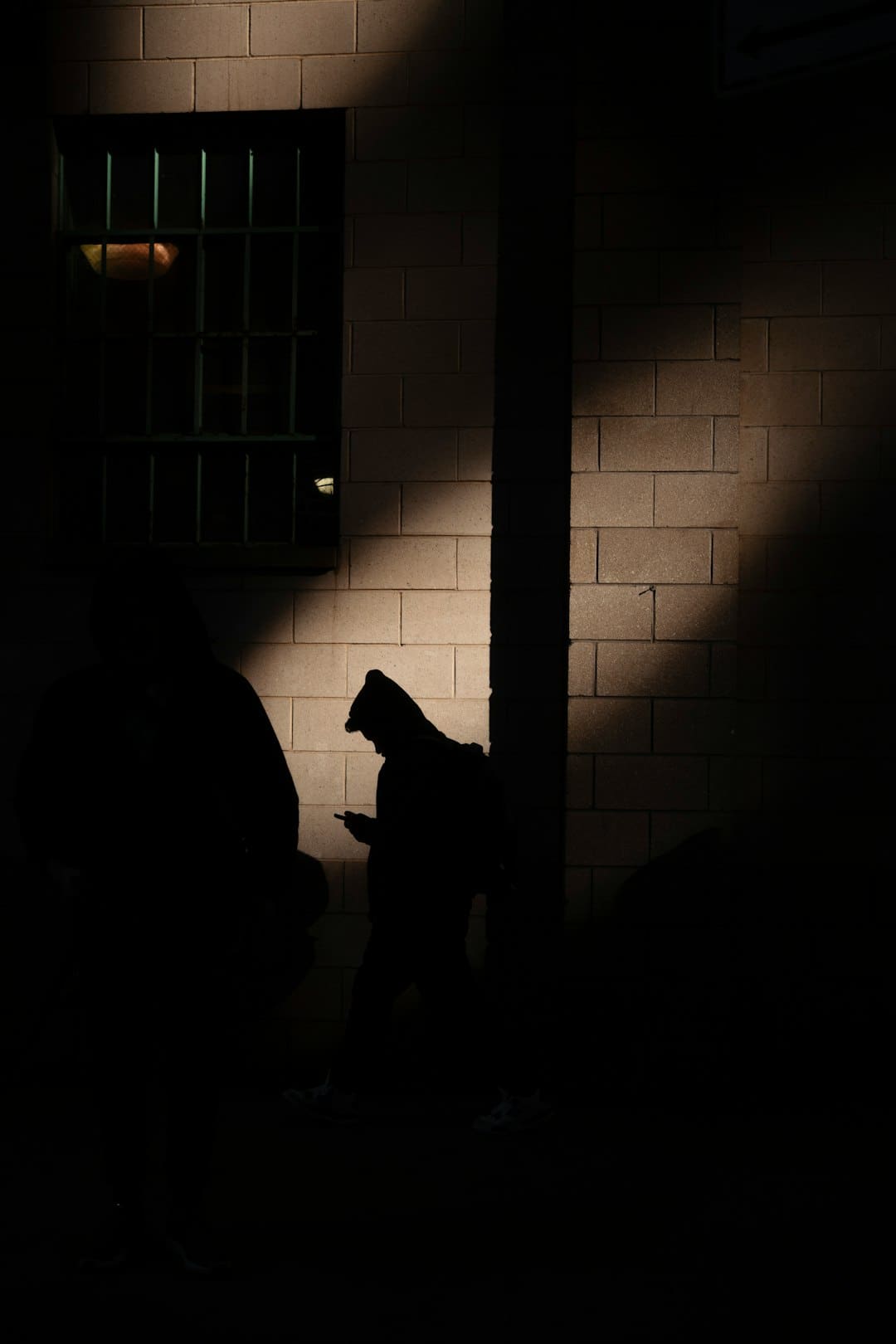 綠金債發(fā)行規(guī)模大增 “綠色溢價”凸顯市場青睞