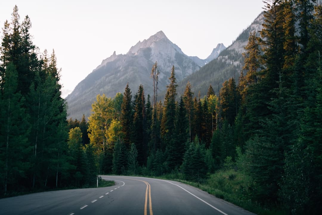 老人撿垃圾有哪些隱藏風險
