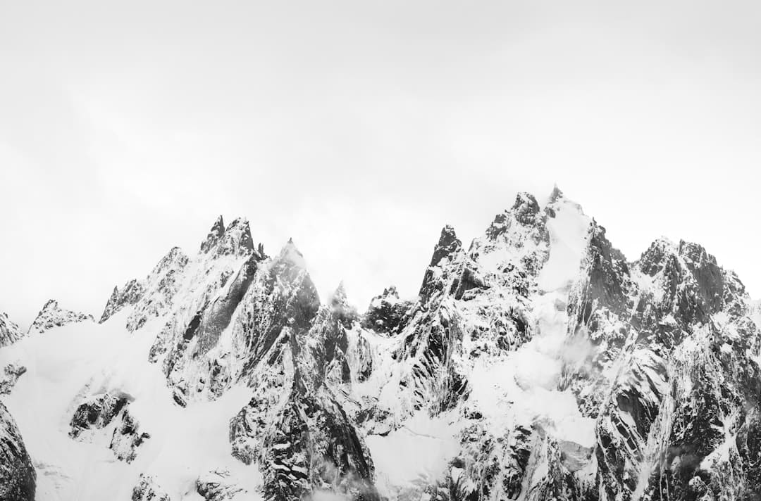 黨建引領(lǐng)“三化”破題 石獅鳳里街道打造城區(qū)治理新樣板