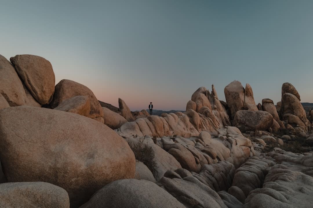 評(píng)電影《捕風(fēng)追影》：熟悉又久違的酣暢感