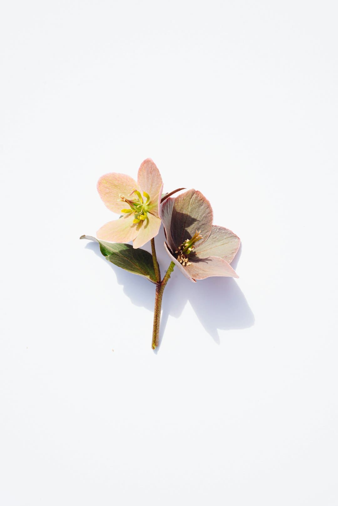 廣州地鐵APP濫用搖一搖廣告導(dǎo)致乘客無(wú)法進(jìn)站，客服竟回應(yīng)“并非所有人都不喜歡廣告”