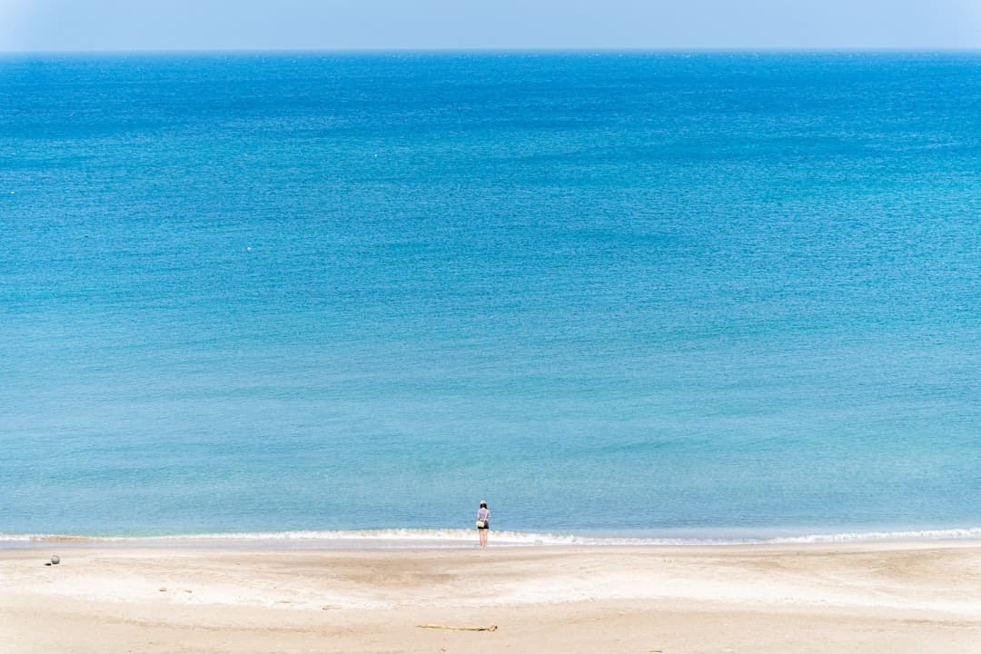 浙江奉化：鄉(xiāng)村“網(wǎng)紅”咖啡店引客來