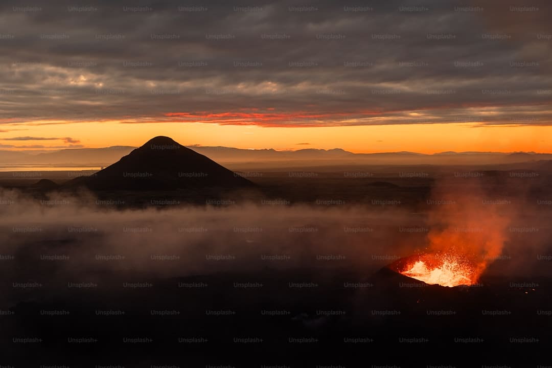 涉嫌參與有組織團伙盜竊 一盧浮宮搶劫案嫌疑人被起訴