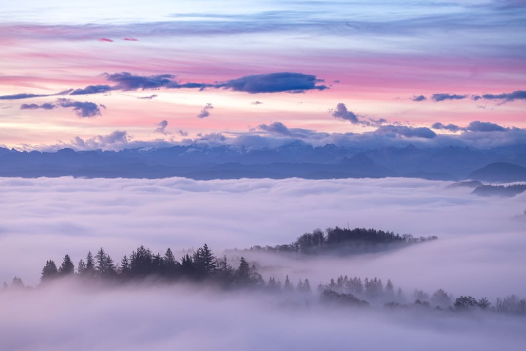 《中國研學(xué)旅游報告（2025）》發(fā)布