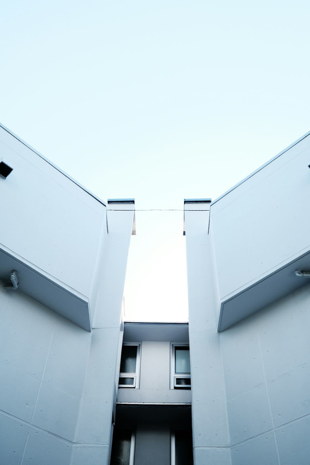 小李子大表姐合作新電影 馬丁·斯科塞斯執(zhí)導(dǎo)