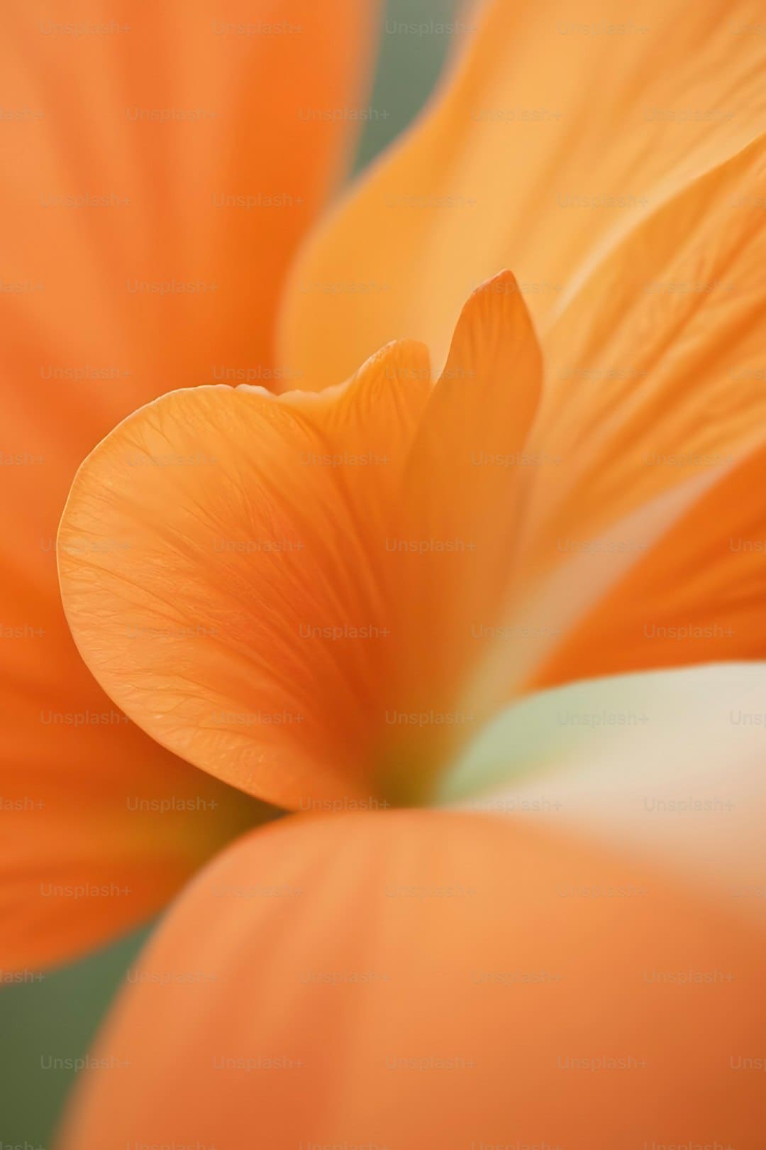 加開76列！觸及福建多個方向