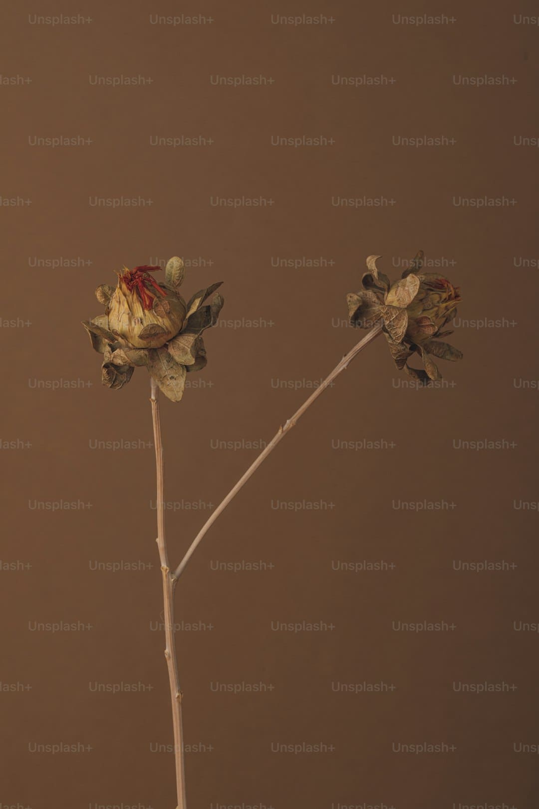 漳州移動構(gòu)建“三位一體”反詐新格局