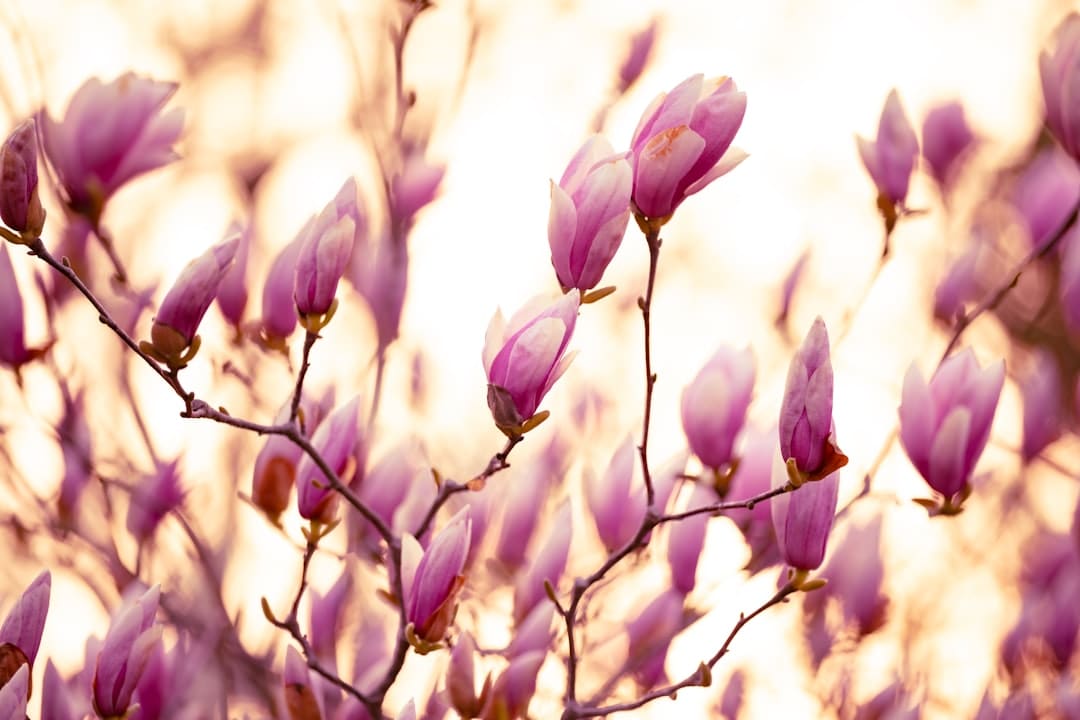 圍棋體裁愛情短劇《星城棋緣》在長(zhǎng)沙殺青