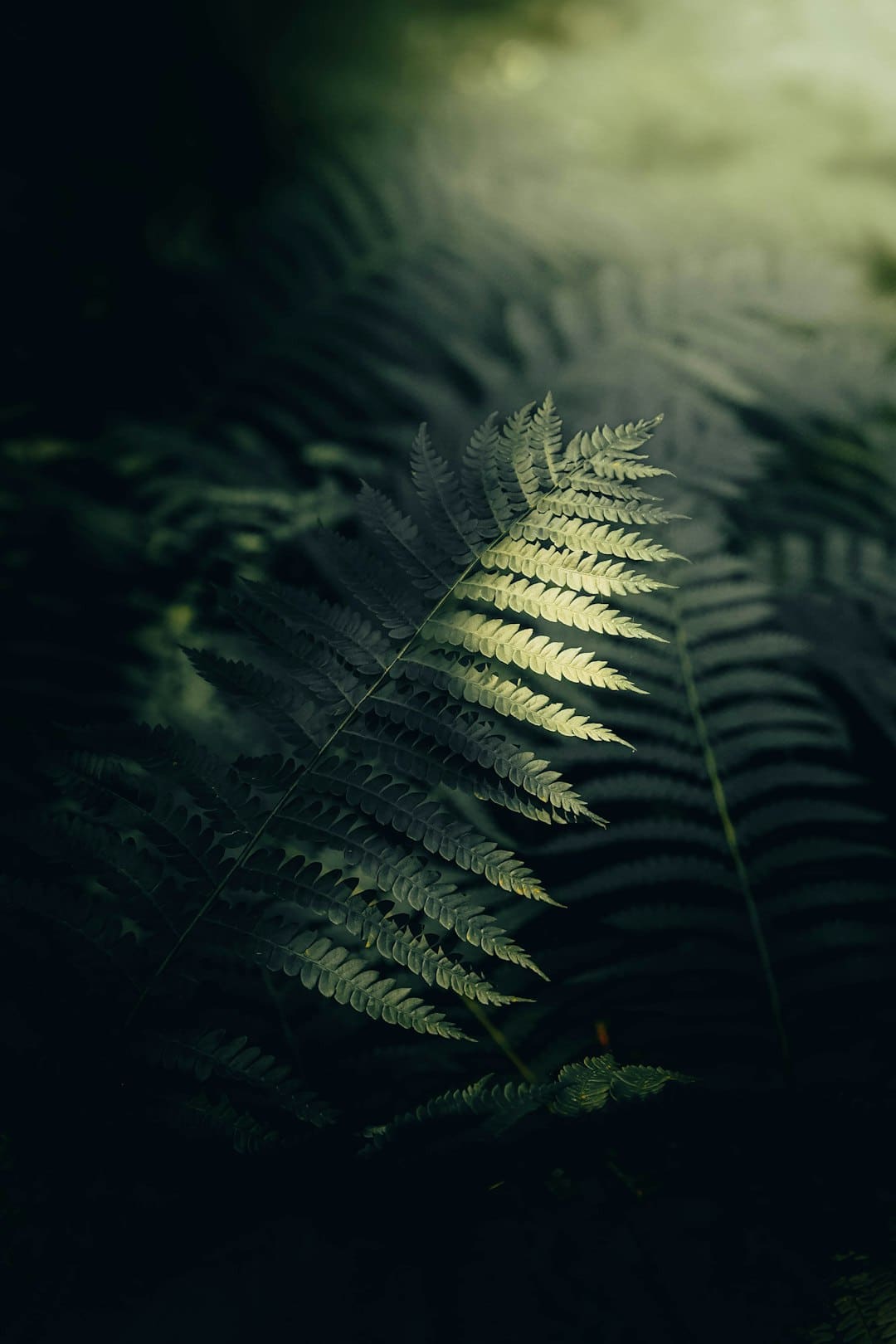 新航季26日開啟 泉州晉江國際機場航線網絡再升級