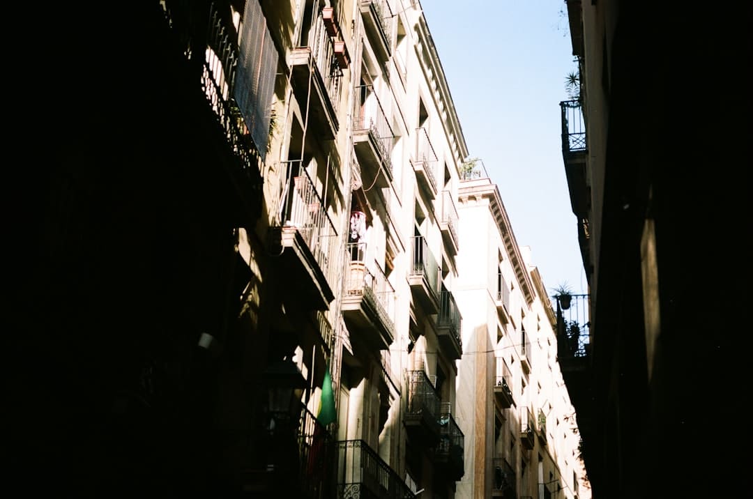 《歌手2024》揭榜成功 許鈞：日子和音樂的實質(zhì)便是實在