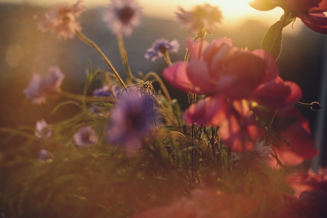 全新小鵬P7宣布將開啟歐洲首秀，全球化戰(zhàn)略進入新階段