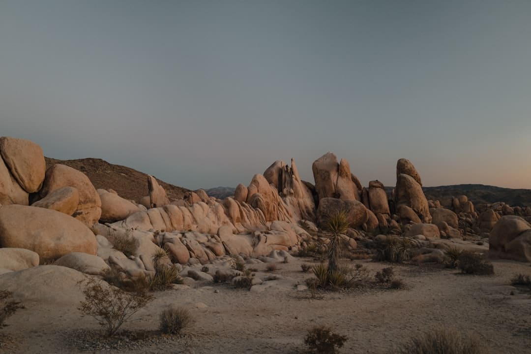 秀麗芳華大結(jié)局蔣長揚(yáng)為何拋棄高官厚祿挑選云游全國