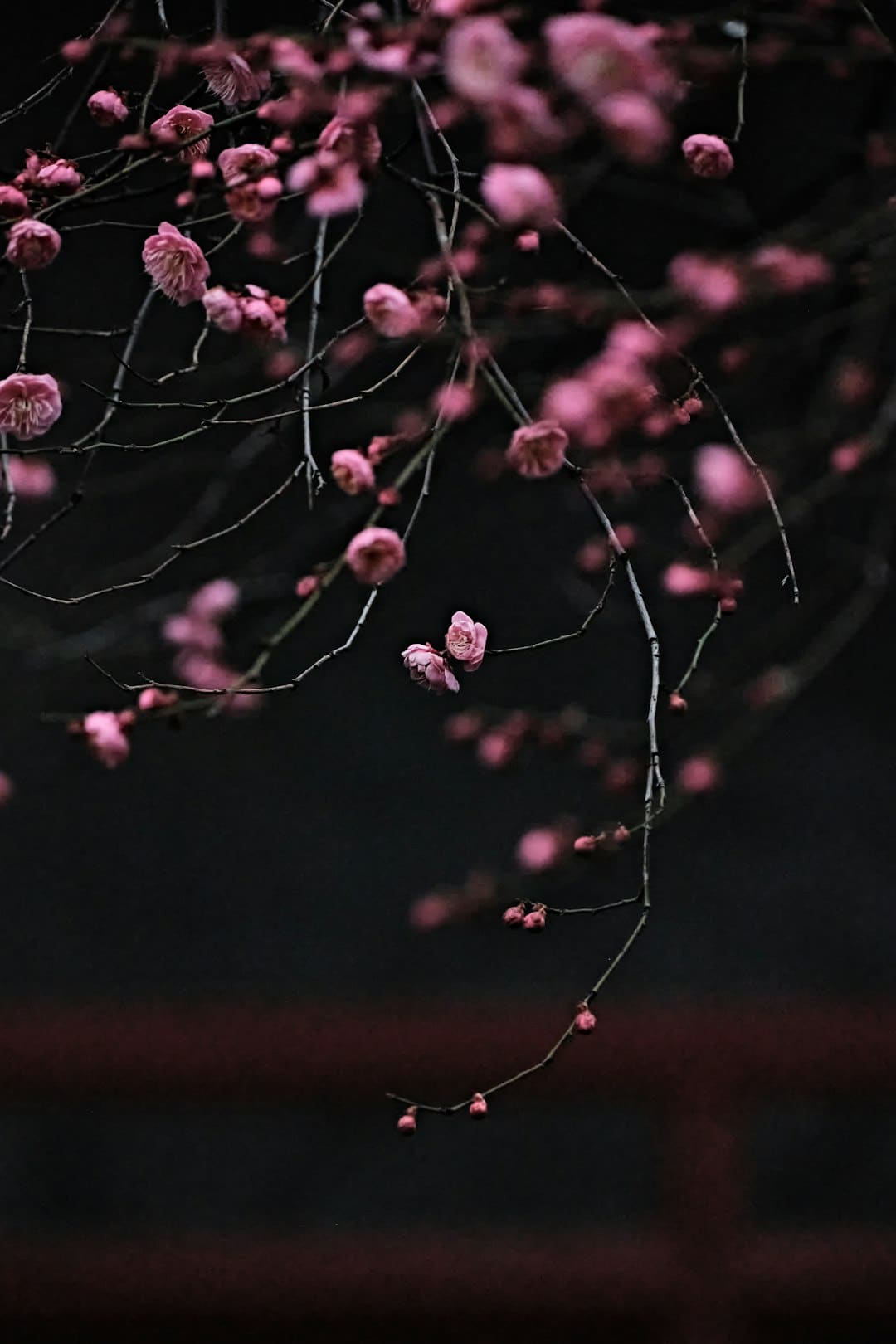 運動出汗有什么好處