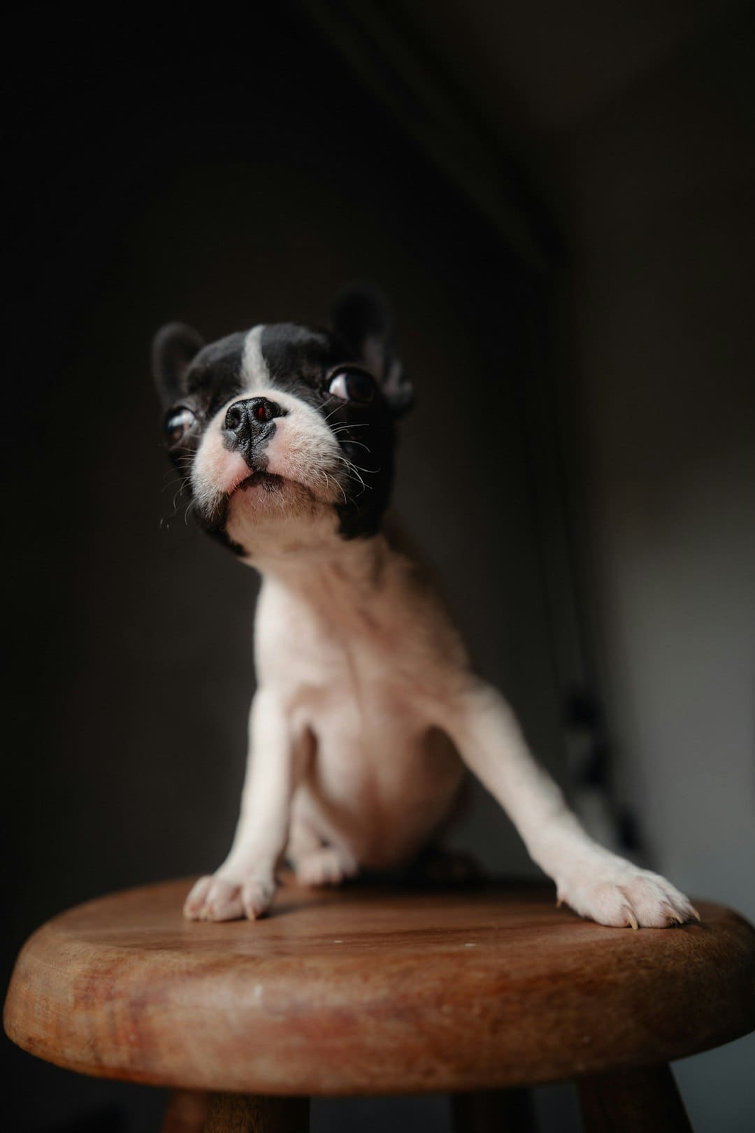 A股午后突變！天普股份十連板！黃金概念再度走強