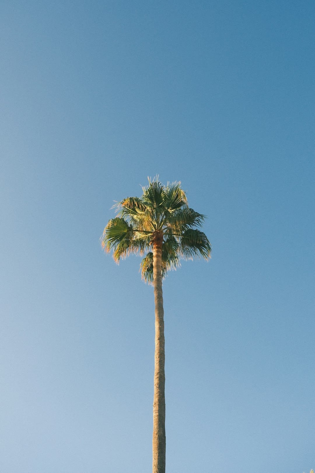 南安市水頭鎮(zhèn)埕邊僑史館正式開館