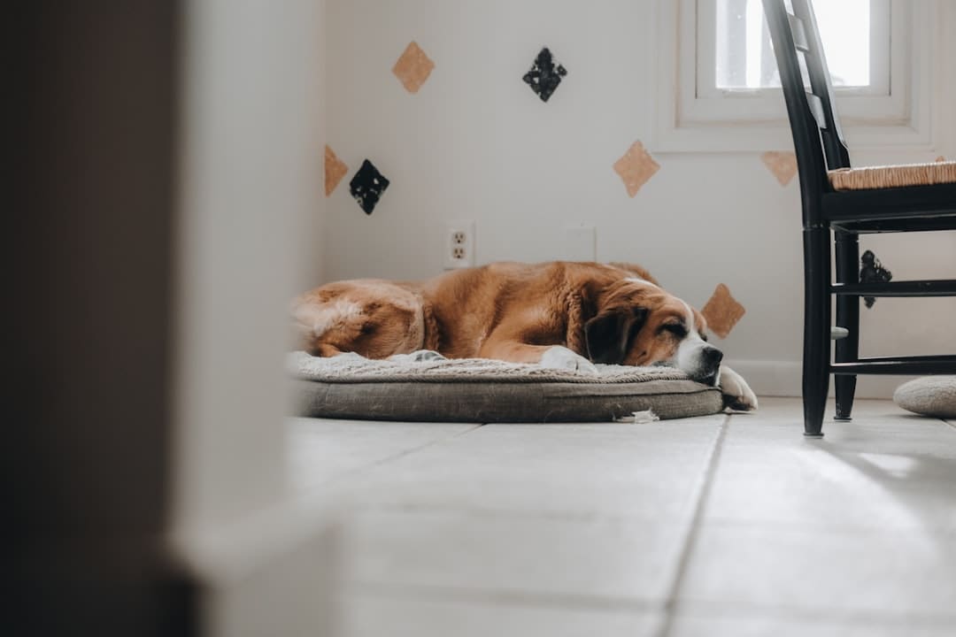 石獅籍勵志作家吳承諭第三本新書《雨中的炬火》 在福州發(fā)布