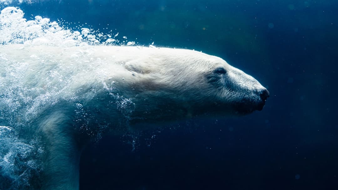 宋多恩揭露与朴智旻爱情视频再传爱情风闻 BigHit“承认中”