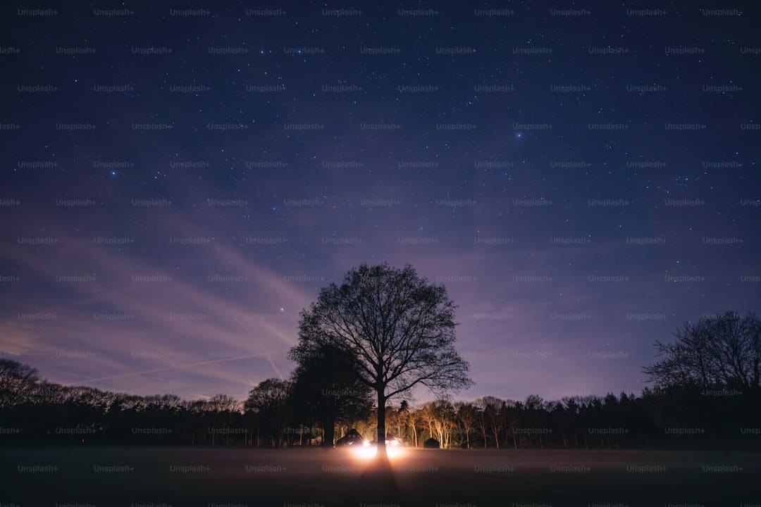 石獅市政協(xié)開展“持續(xù)提升物業(yè)管理水平”專題民主監(jiān)督