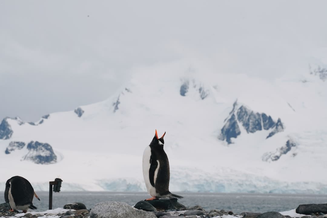 倒了恒大，富了清盤人！恒大清盤是怎樣的一筆大生意？