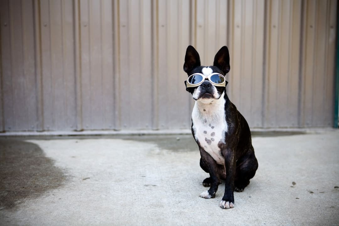 詔安梅嶺：七夕獻(xiàn)血傳遞愛 志愿服務(wù)暖人心