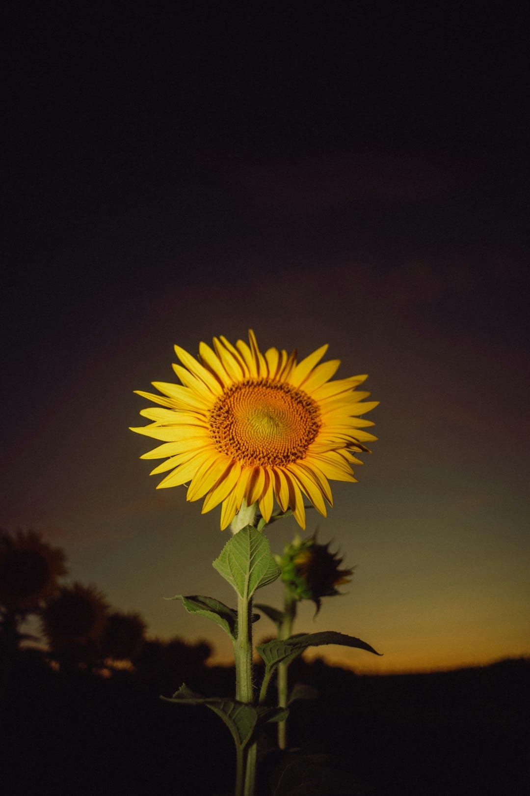 2025年度電視劇(網(wǎng)絡(luò)劇)精品創(chuàng)造編劇高檔研修班杭州啟幕