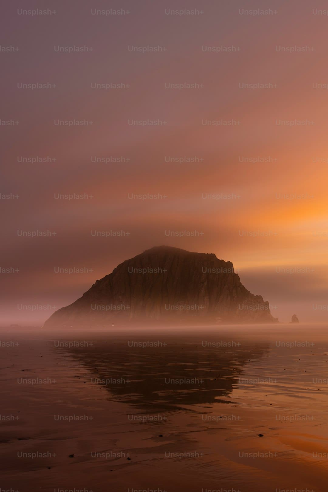 白玫瑰大結(jié)局 真兇浮出水面