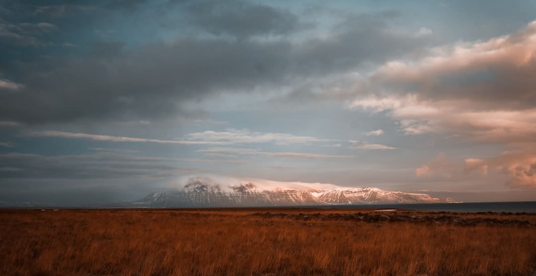 “京城四少”汪雨新婚妻子官宣領(lǐng)證 三十而立緣定畢生
