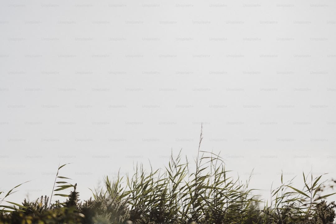 “2025中國民營企業(yè)500強”“2025中國制造業(yè)民營企業(yè)500強”揭曉安踏、百宏、恒安榜上有名