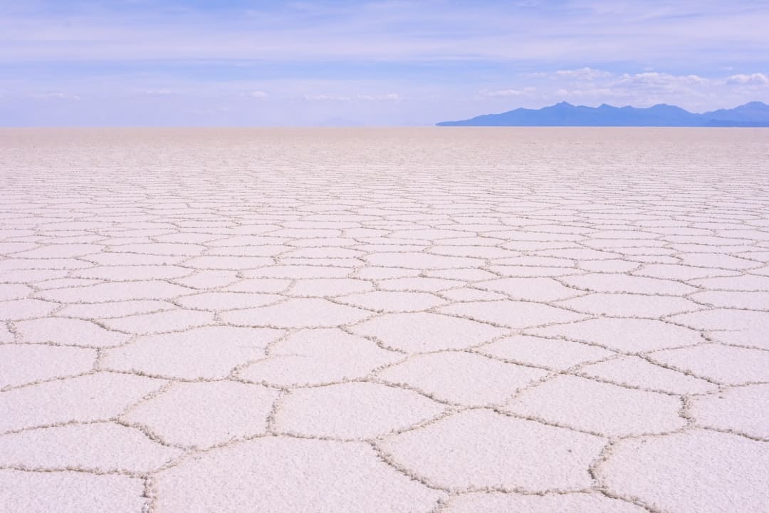 清流縣教育考察團(tuán)來石獅開展教育協(xié)作交流