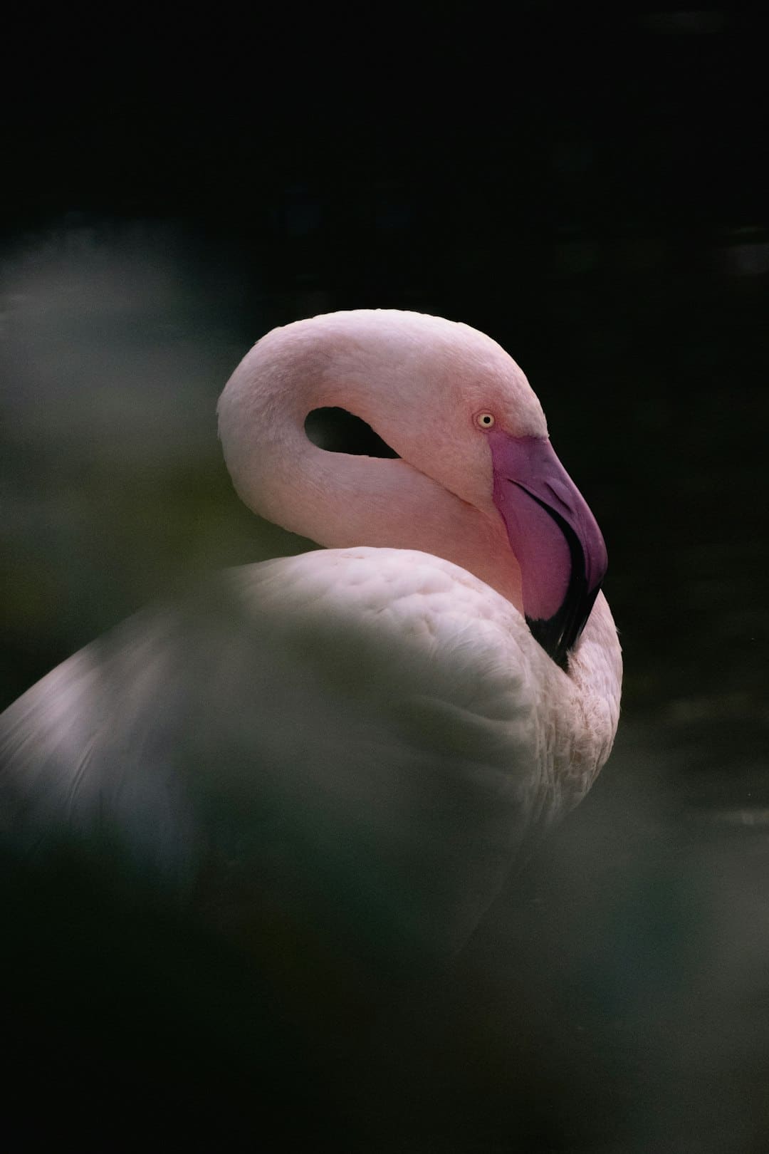升級！泉港“20歲”菜市場煥新顏