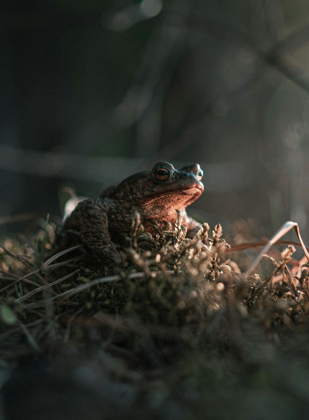 支持提振消費(fèi)！免稅店政策“升級”