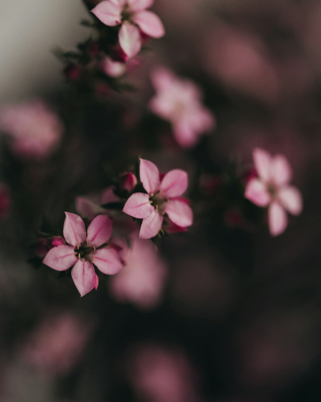 神舟二十一號成功發(fā)射！美國封鎖失敗，中國2030年前實現(xiàn)載人登月