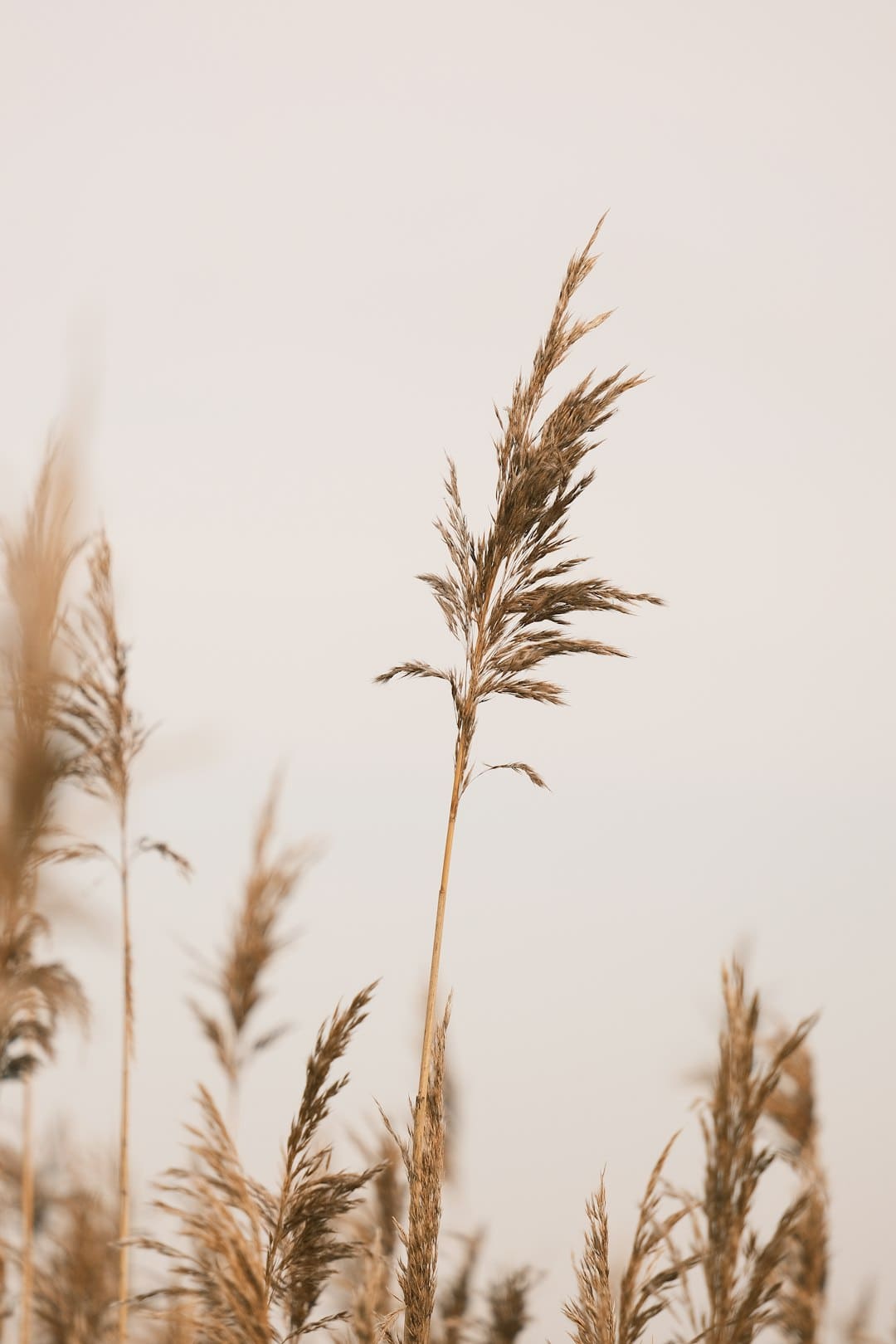 周杰倫方回應連續(xù)17年捐款助學：原本就要做的事情