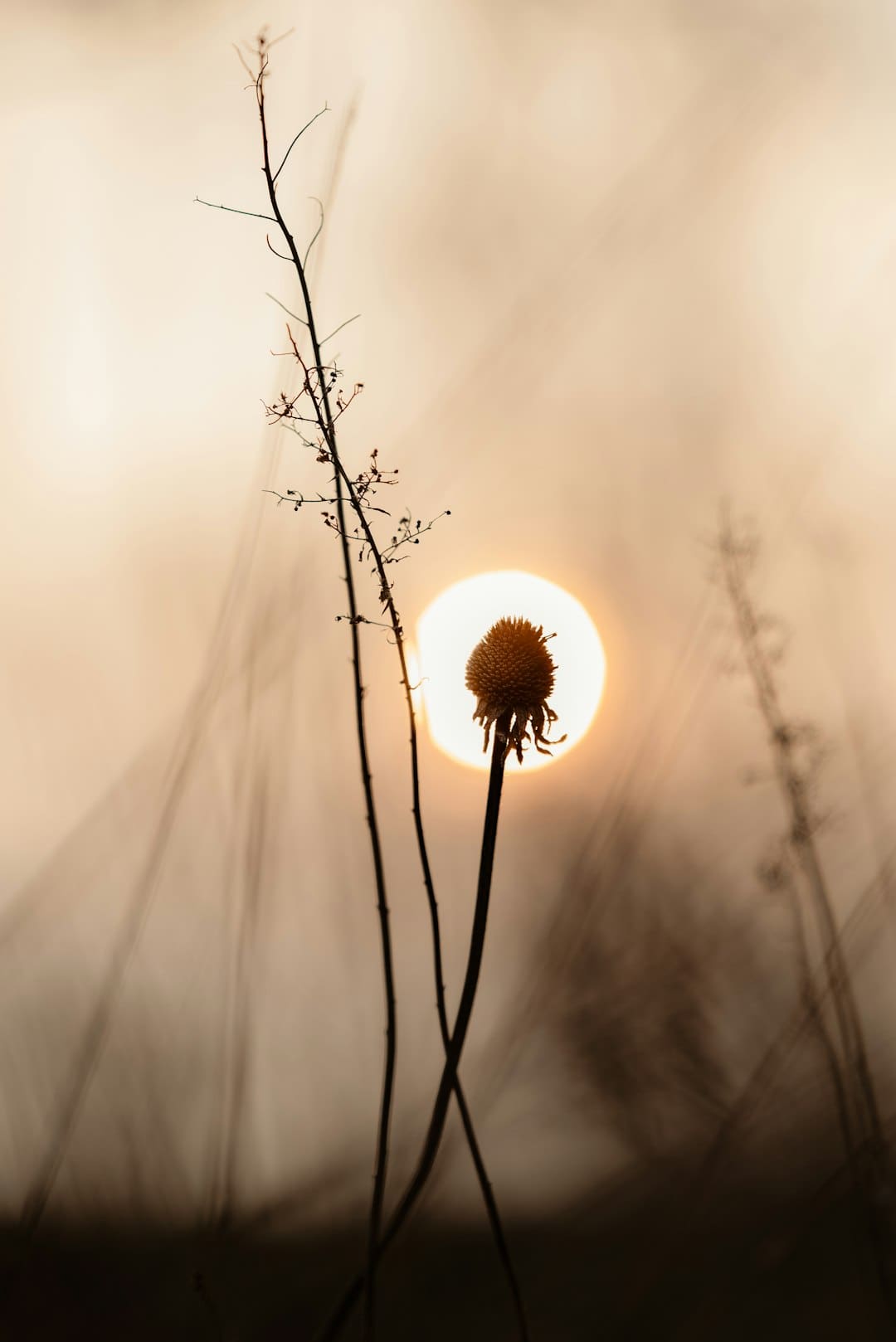 周杰伦昆凌夫妻在墨尔本逛街被偶遇
