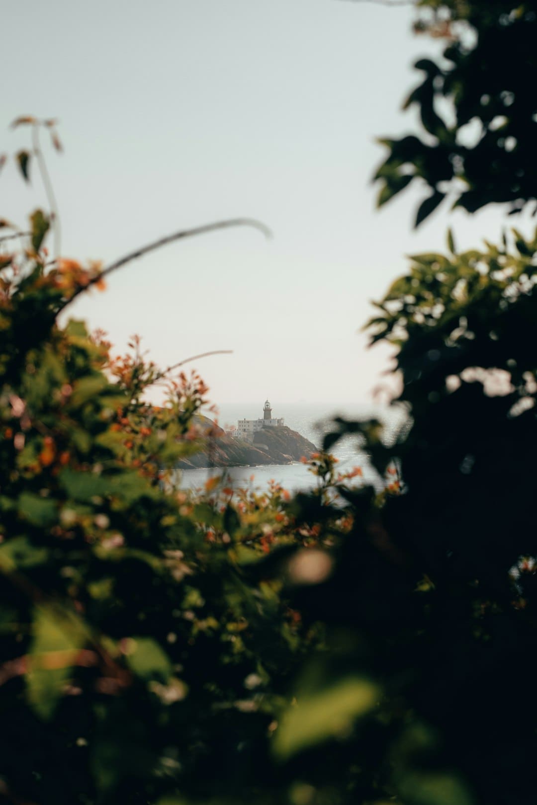 少女時代完全體慶祝出道18周年 凍齡神顏+溫暖氣氛