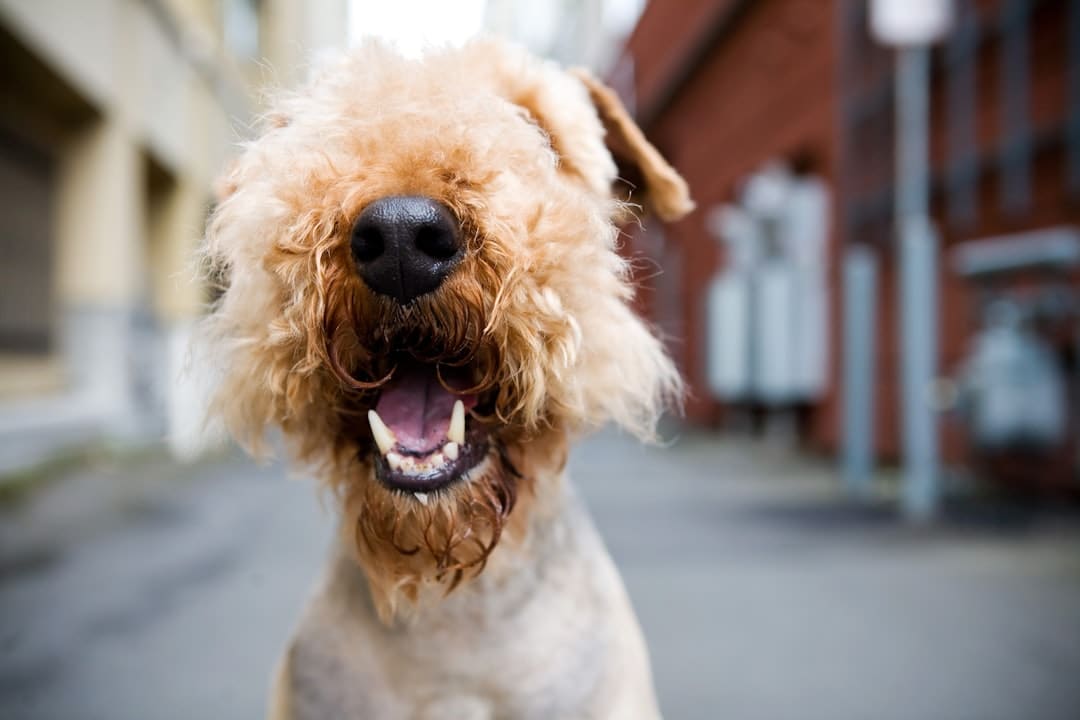 醫(yī)院嚴(yán)正聲明：呼吁當(dāng)事人中止網(wǎng)暴