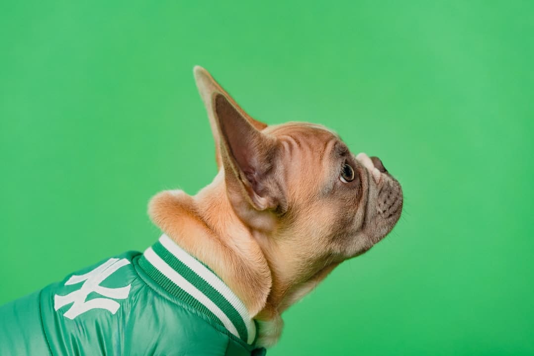 葉柯不建議女生花錢做醫(yī)美：眼睛大小沒那么重要