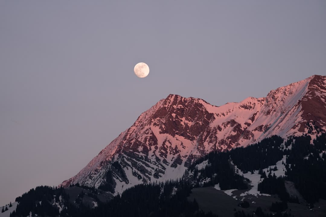 章子怡離婚后事業(yè)上升 46歲素顏狀態(tài)如何