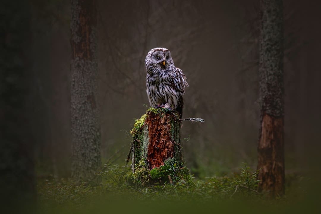 長(zhǎng)泰巖溪：700年文脈潤(rùn)?quán)l(xiāng)風(fēng) “學(xué)霸村”底蘊(yùn)藏不住