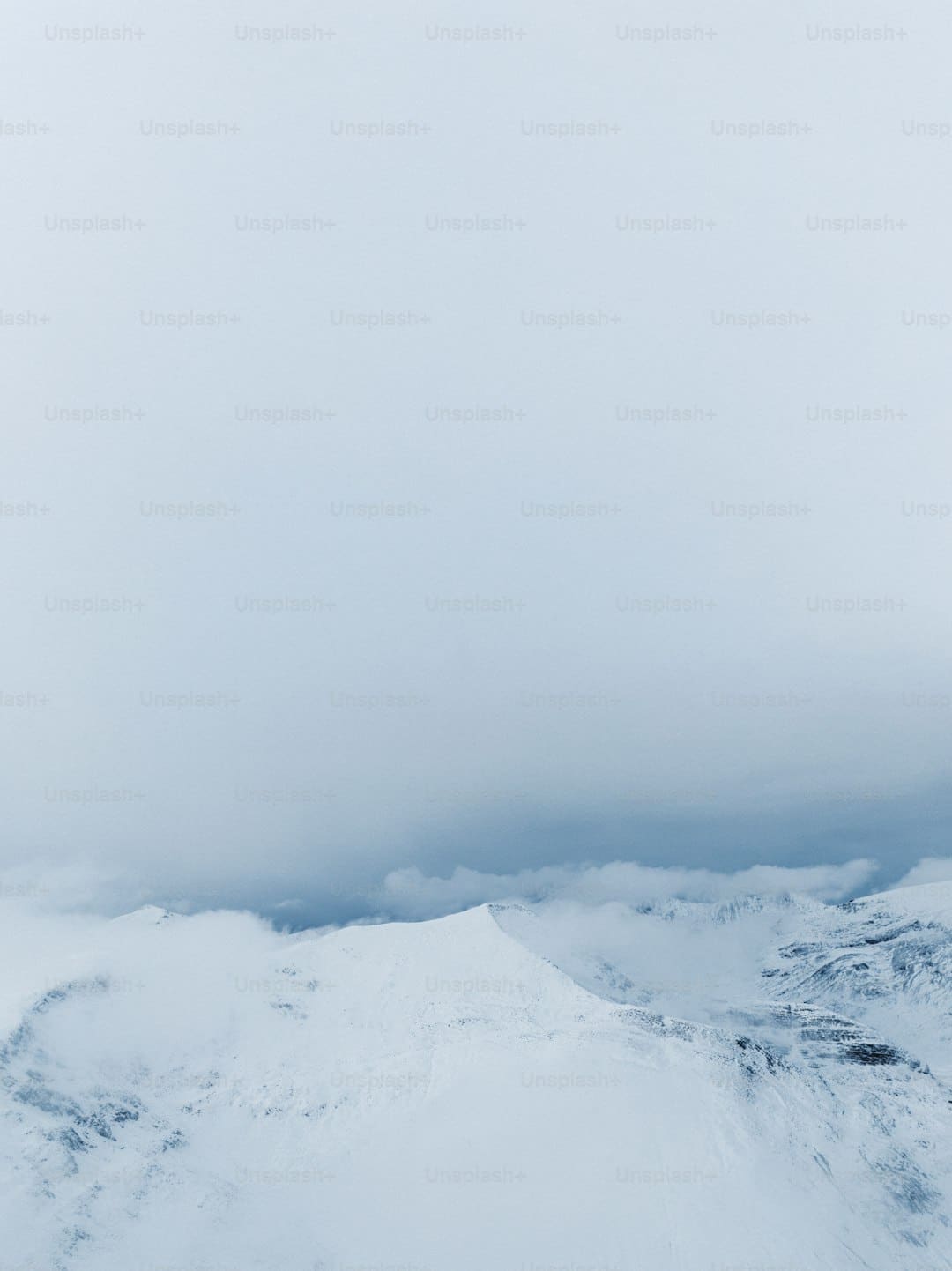 上市滿一年，雞蛋、玉米淀粉、生豬期權(quán)為產(chǎn)業(yè)鏈帶來了哪些改變？